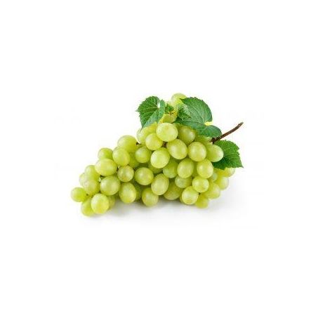 Uva italia kg