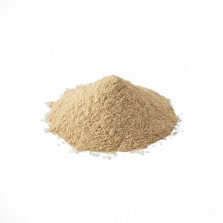 GINSENG EM PÓ 250G