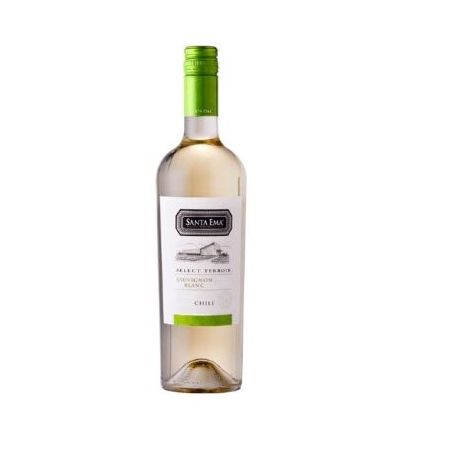 Vinho branco sauvig terroi santa ema 750ml