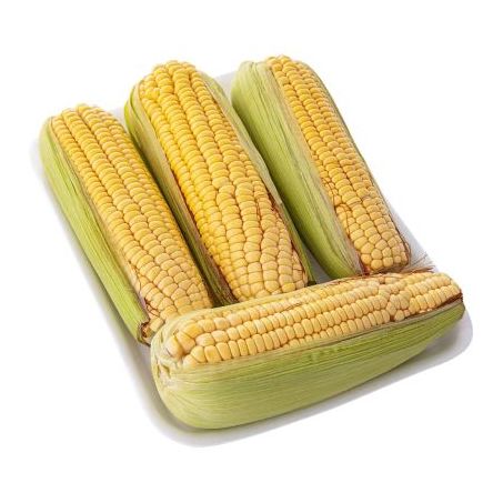 Horti - milho verde comercial simon c/3 un