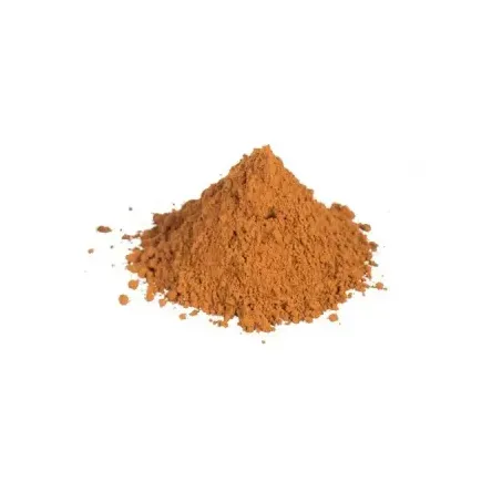 NOZ DE COLA EM PÓ 100G