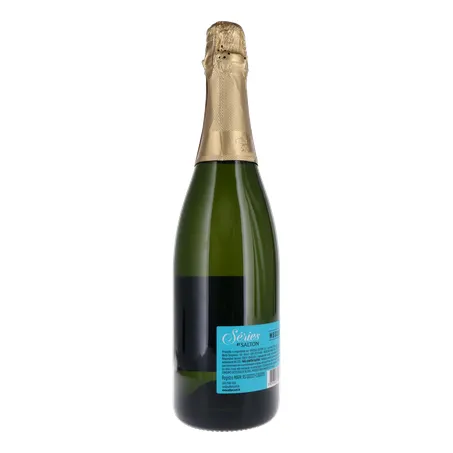 ESPUMANTE SALTON SERIES MOSCATEL 750ML 360-14