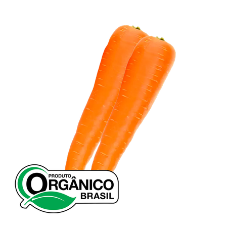 Cenoura Recanto da Natureza Orgânica 490g