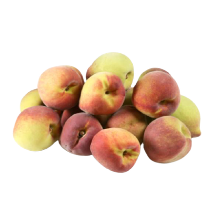 Flv- pepino conserva kg