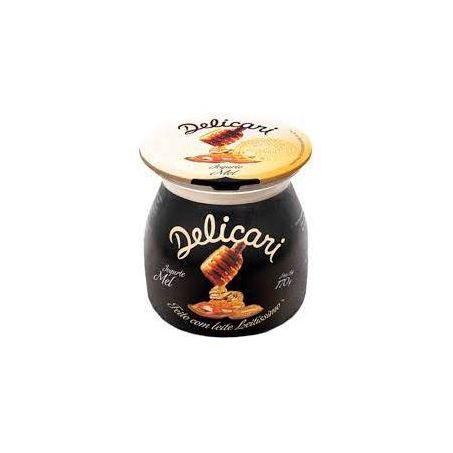 IOGURTE MEL DELICARI 170G