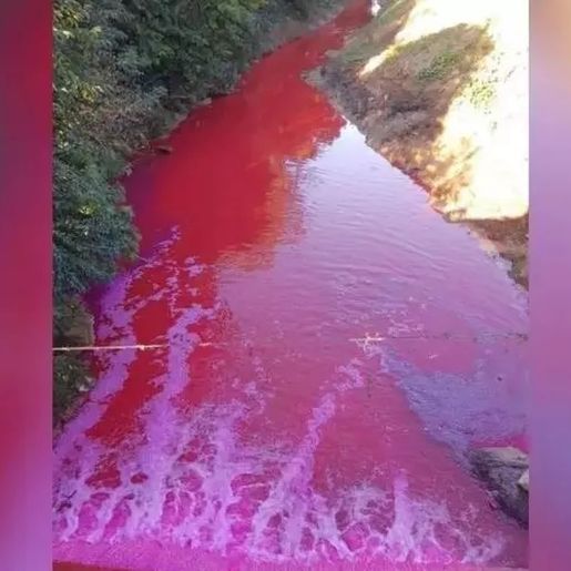 Vazamento de produto químico deixa rio vermelho em Criciúma