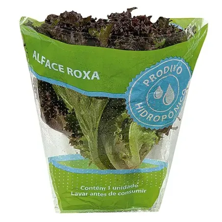 Alface hidroponica roxa un