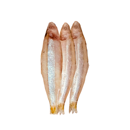 Peixe Manjuba Salgada Kg 
