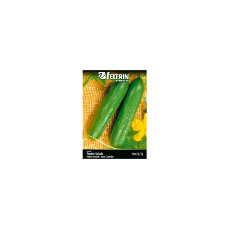 Sementes Feltrin Hortaliças Pepino Salada Unidade