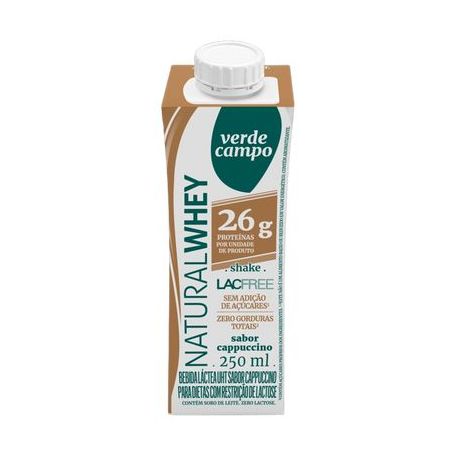Bebida láctea 26g de whey capuccino verde campo 250ml