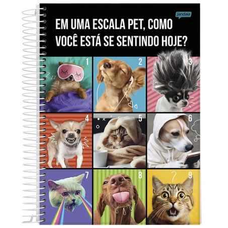 CADERNO ESPIRAL JANDAIA PET 1X1 80 FOLHAS 360-3