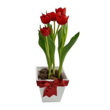 Flor Tulipa Vermelha P12