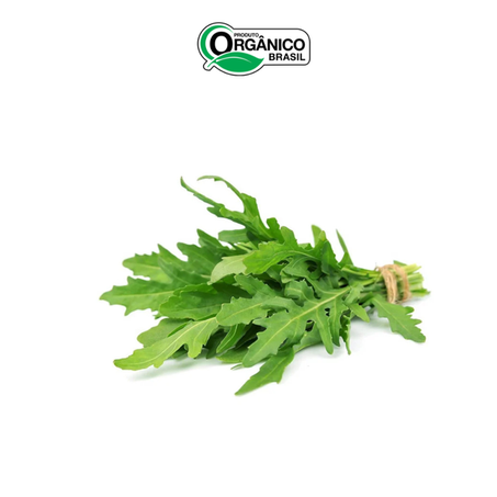 RUCULA SELVATICA ORGANICA 90G