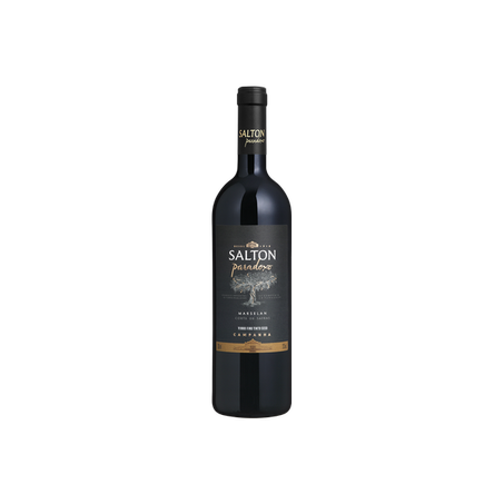Vinho paradoxo marselan salton 750ml