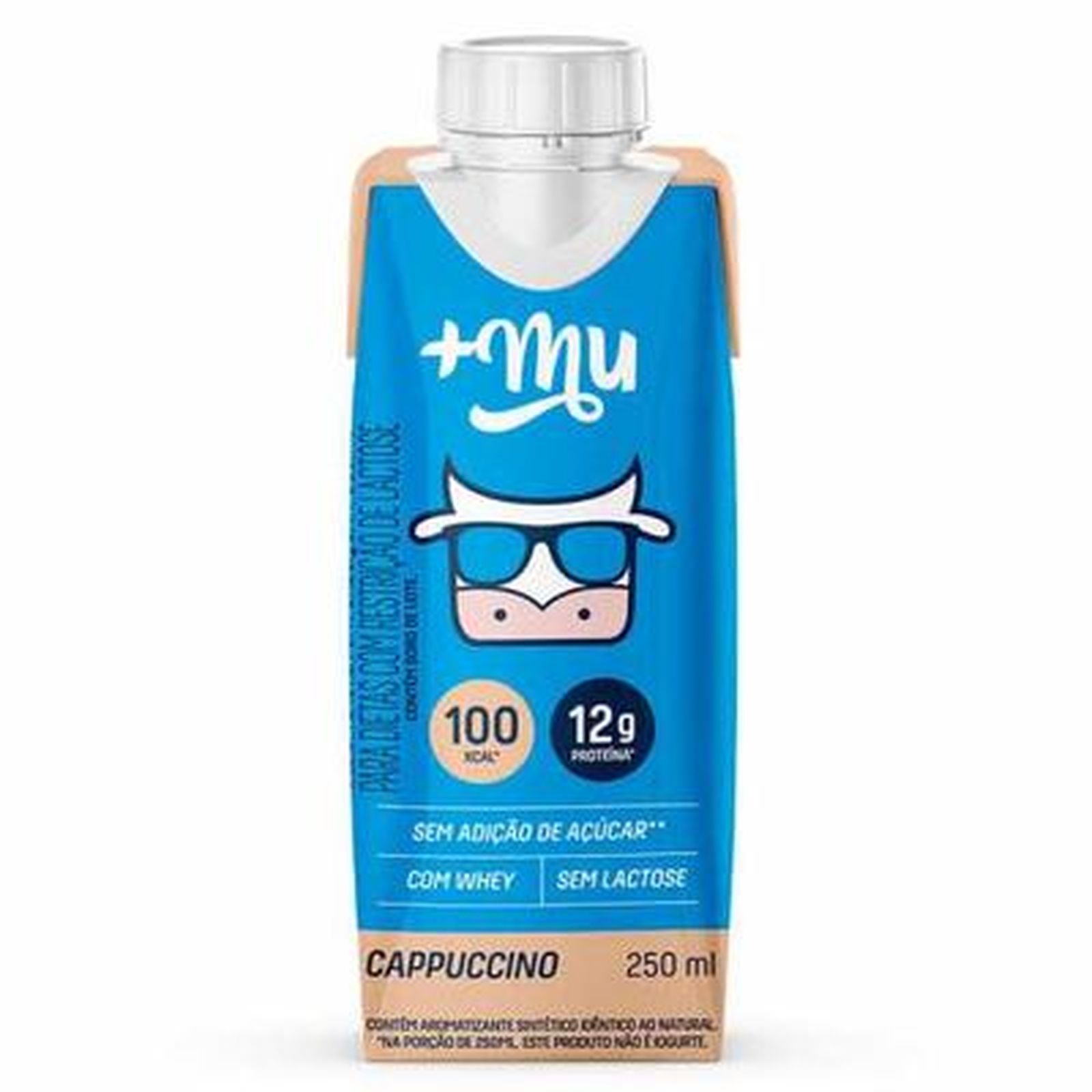 Bebida Lactea Cappuccino Com Whey Mais Mu 250ml | Vila das frutas