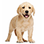 d2aa40bd-_categoria__537a4a626e461.png