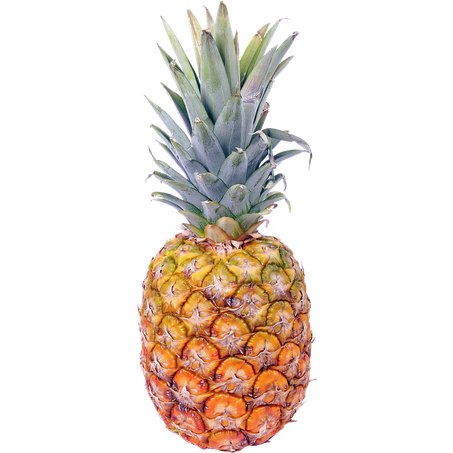 Abacaxi und
