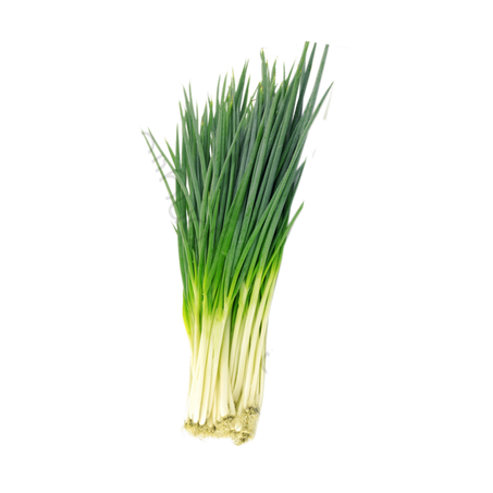 Cebolinha Hortiquiles un