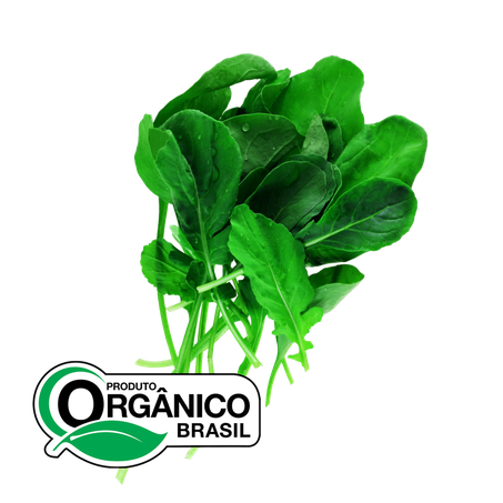 Rúcula Cheiro Verde Orgânica 100g