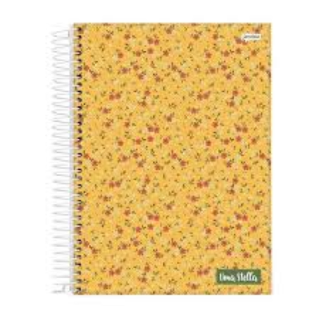 Caderno jandaia capa dura flork me mimei 80f