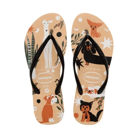 Sandalia/chinelo havaianas slim pets dourado preto branco 35/36