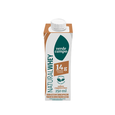 Bebida láctea cappuccino whey 14 verde campo 250ml