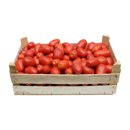 TOMATE SALADETE CX 20KG