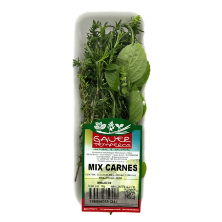 Mix de temperos para carne Gauer 18g