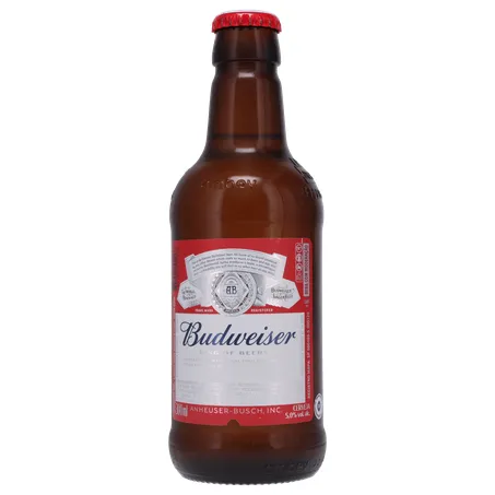 Cerveja budweiser retornavel 300ml 360-1