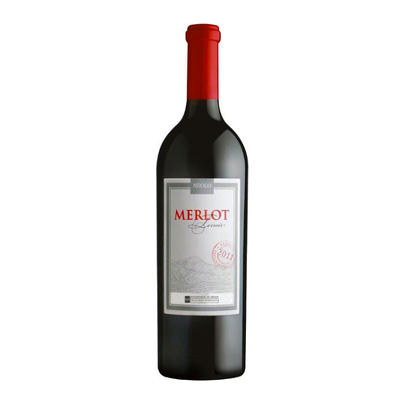 Vinho Tinto Brasileiro Miolo Terroir Merlot 750ml 