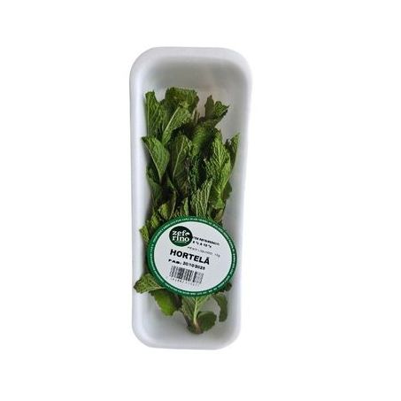 ZEFERINO TEMPERO HORTELÃ 15G