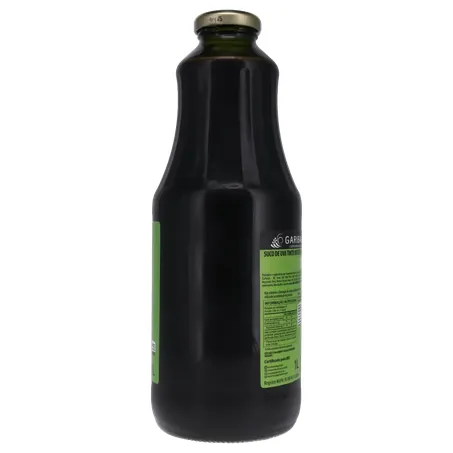 SUCO DA CASA ORGANICO GFA 1L 360-12