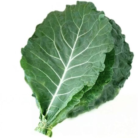 Couve manteiga Hortiquiles un