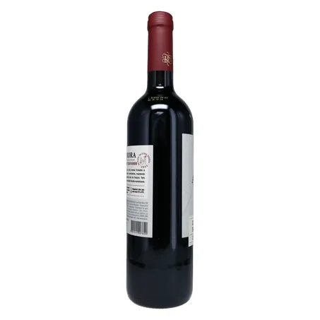 VINHO TINTO AURORA CABERNET SAUVIGNON 750ML 360-25