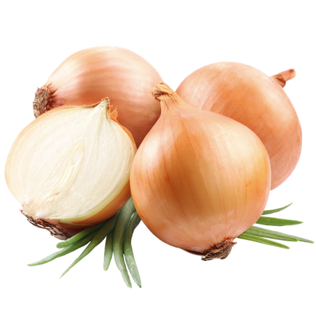 CEBOLA ORGÂNICA KG