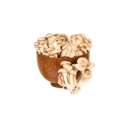 Cogumelo Organico Shimeji 200g