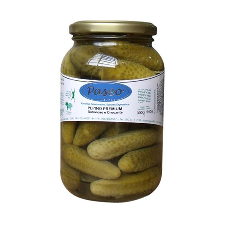 PEPINO CONSERVA PASEO VD 300G