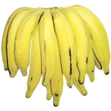 BANANA TERRA KG