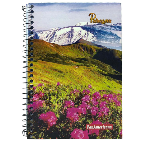 Caderno panamericana grande capa dura 96 folhas journey