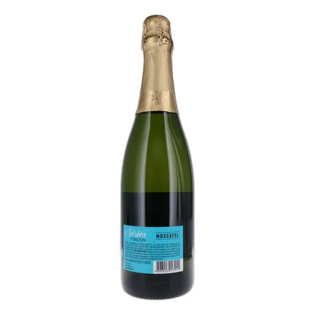 ESPUMANTE SALTON SERIES MOSCATEL 750ML 360-19