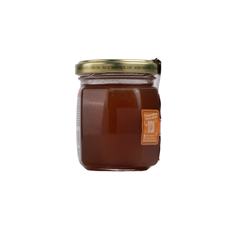 GELEIA TRADICIONAL DE PESSEGO 250G BOM PRINCIPIO 360-3