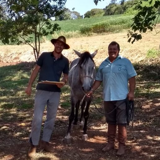 Grupo de criadores de Cavalo Campeiro realizam encontro em Tunápolis 