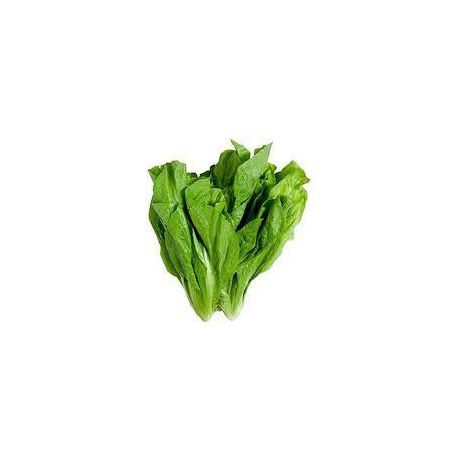 HORTI MOSTARDA MAÇO