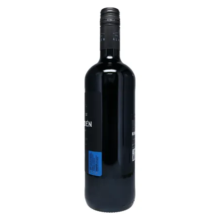 Vinho Brasileiro Tinto Seco Almadén Tannat Campanha Garrafa 750ml 360-9
