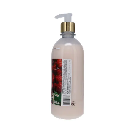 Sabonete Líquido H2OH! Pitanga Frasco 500ml 360-11