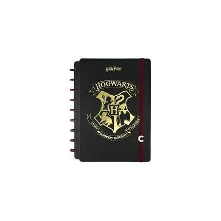 CADERNO INTELIGENTE CD JANDAIA MEDIO 80F HARRY POTTER