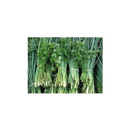 CHEIRO VERDE