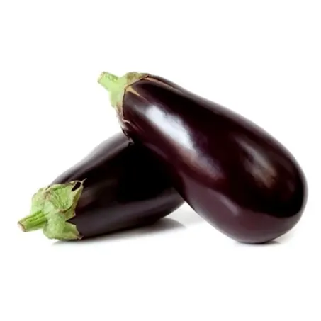 BERINJELA
