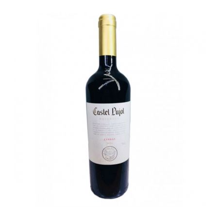 VINHO CASTEL PUJOL 750ML TANNAT - MERLOT