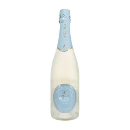 Espumante Natural Salton Poética Blanc de Blancs Demi-Sec Garrafa 750ml